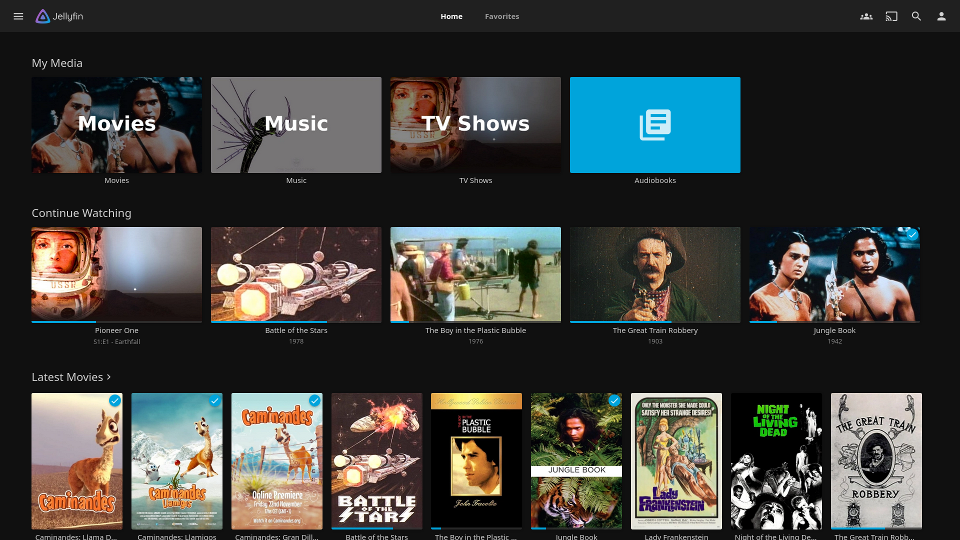 Jellyfin10.8.12-32位