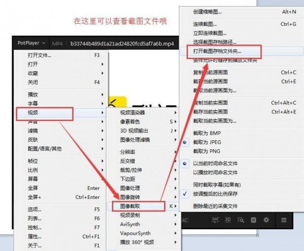 PotPlayer播放器v1.7.21563.0