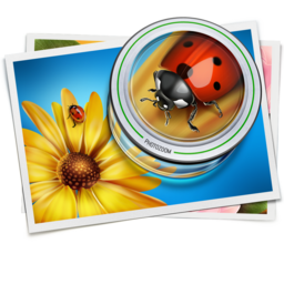 irealproMac版tv老版本安装包