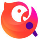 波点音乐下载2020旧版下载