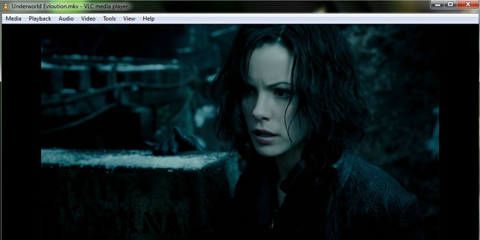 VLC Media Player3.0