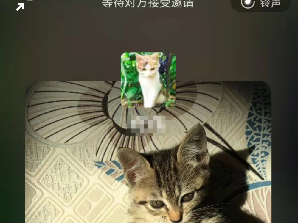 微信又出新功能，语音通话时自动展示好友朋友圈