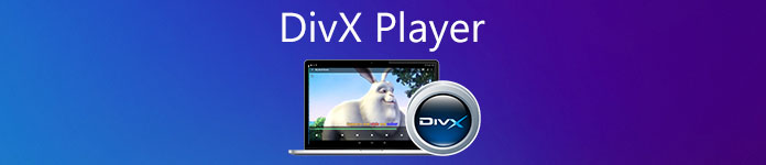 DivX Player10.10.1.0