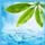 远方主播直播音效软件2025最新版