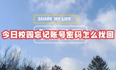 今日校园忘记账号密码怎么找回